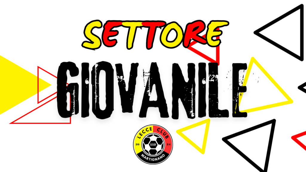 Settore Giovanile: Il Programma