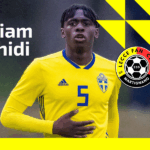 Calciomercato: Dal Borussia Dortmund il 2006 Rashidi